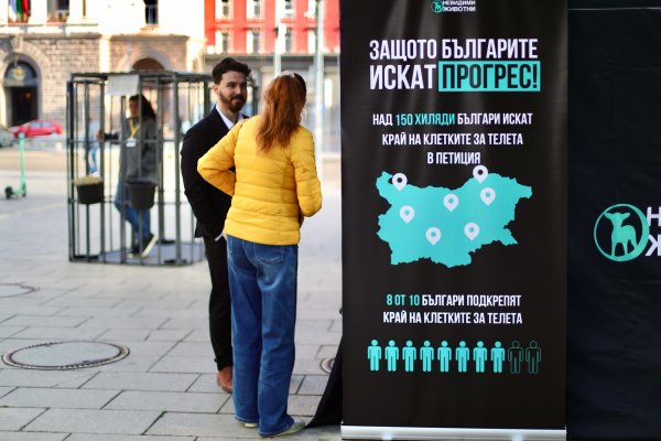 Снимка: Димитър Кьосемарлиев, Dnes.bg